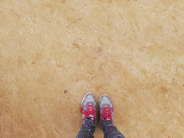 ここではないどこかへと胸を焦がしちゃ ダメなんです こまけぇこたぁいいから 願望実現しようぜ